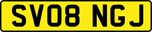 SV08NGJ