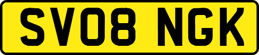 SV08NGK