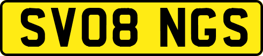 SV08NGS