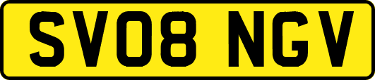 SV08NGV