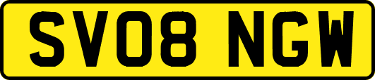 SV08NGW