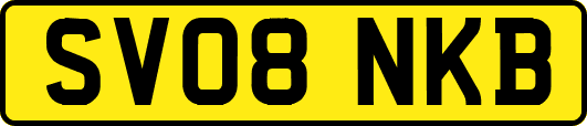 SV08NKB