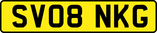 SV08NKG