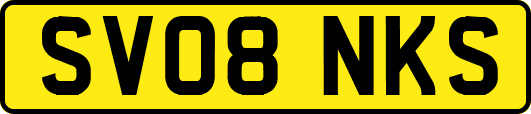 SV08NKS