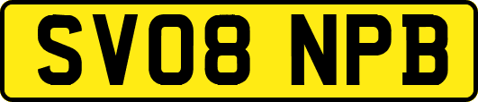 SV08NPB