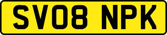 SV08NPK