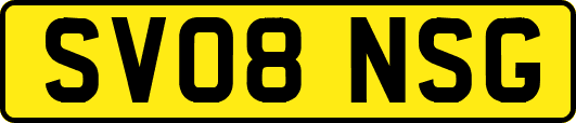 SV08NSG
