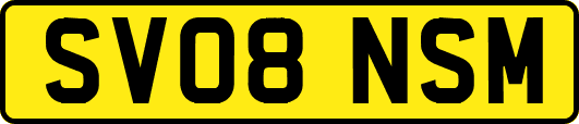 SV08NSM