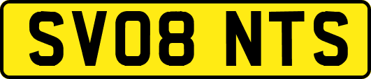 SV08NTS