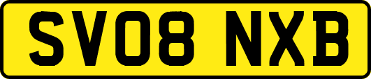 SV08NXB