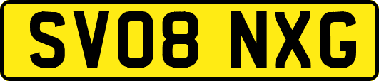 SV08NXG