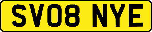 SV08NYE