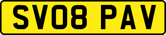 SV08PAV