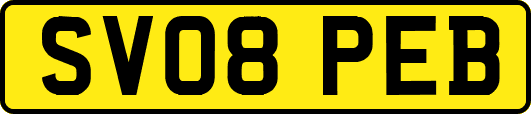 SV08PEB