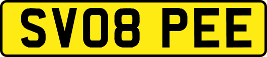 SV08PEE