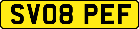 SV08PEF