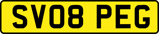 SV08PEG