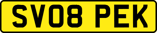 SV08PEK