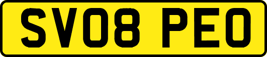 SV08PEO