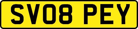 SV08PEY