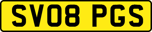 SV08PGS