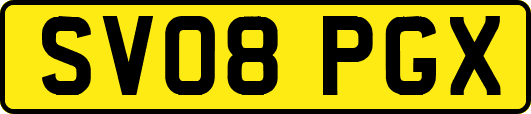 SV08PGX