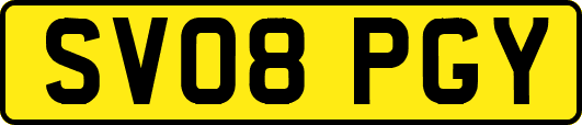 SV08PGY