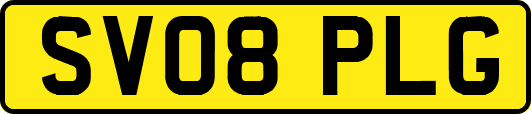 SV08PLG
