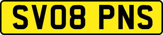 SV08PNS