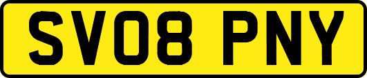 SV08PNY