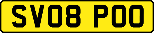 SV08POO