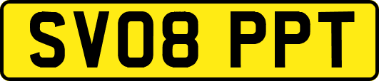 SV08PPT