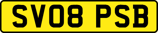 SV08PSB