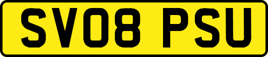 SV08PSU