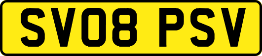 SV08PSV