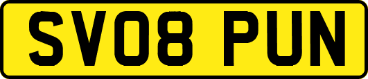 SV08PUN