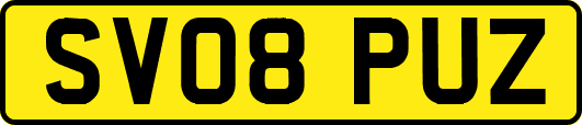 SV08PUZ