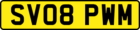 SV08PWM