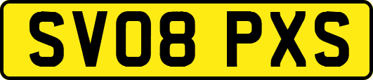 SV08PXS