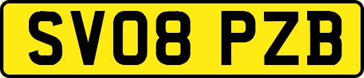 SV08PZB