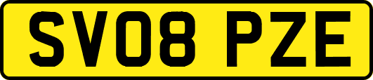 SV08PZE