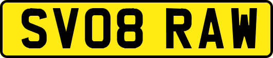 SV08RAW