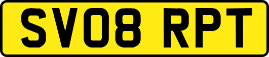 SV08RPT