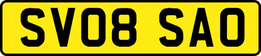 SV08SAO
