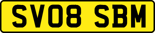 SV08SBM