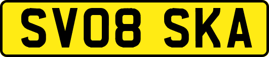 SV08SKA