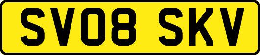 SV08SKV