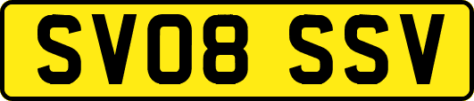 SV08SSV
