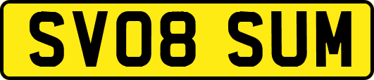 SV08SUM
