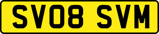 SV08SVM